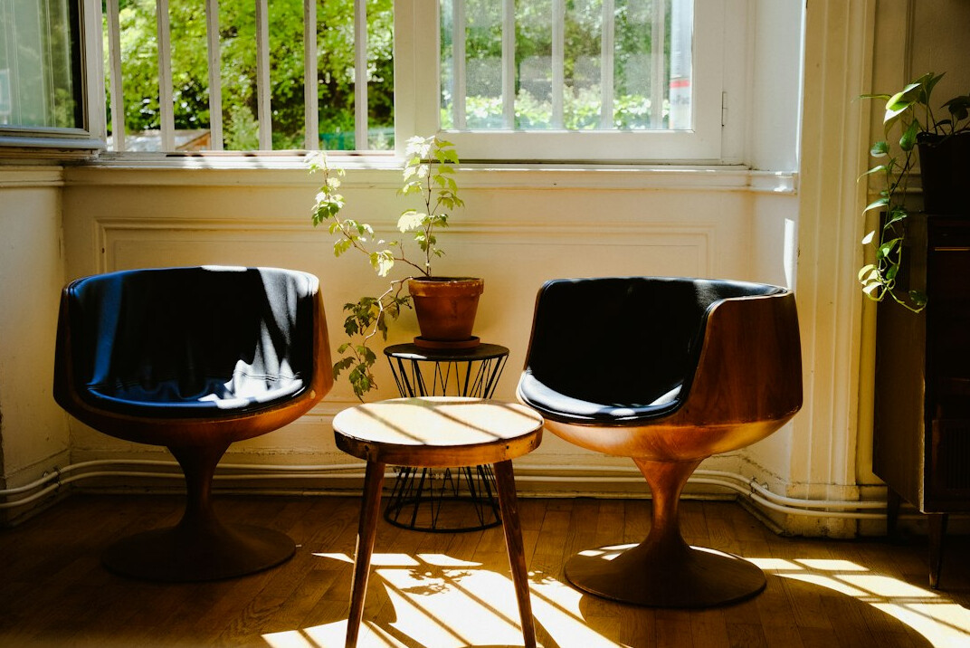 Two armchairs facing each other with a small table and plant